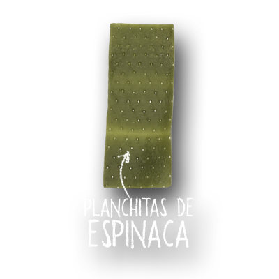 imagen de pellet de planchitas de espinaca crudo