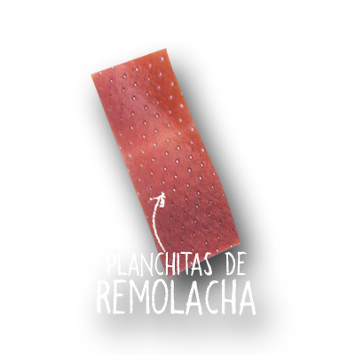 imagen de pellet de planchitas de remolacha crudo