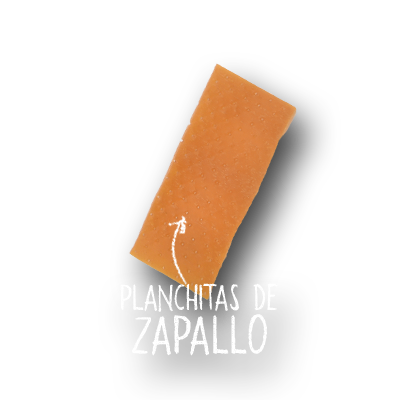 imagen de pellet de planchitas de zapallo crudo